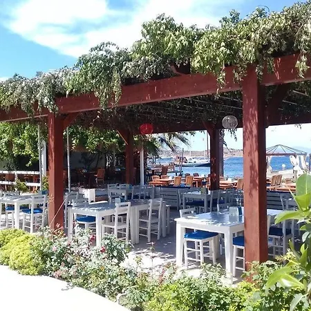 Beyaz 5* Golturkbuku